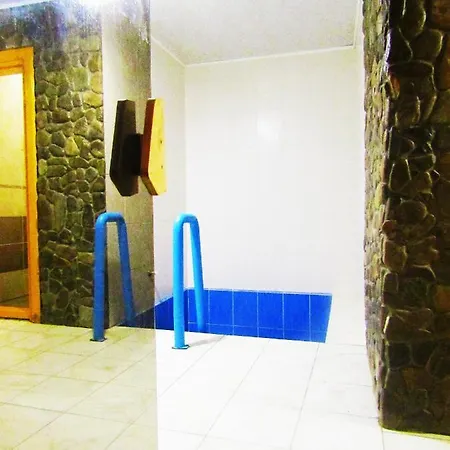 게스트하우스 House Panorama Karpat