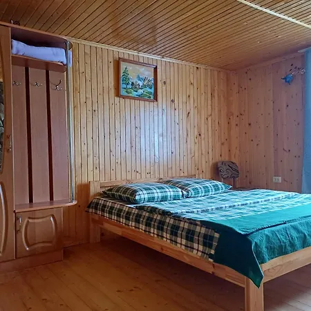 House Panorama Karpat 게스트하우스 *