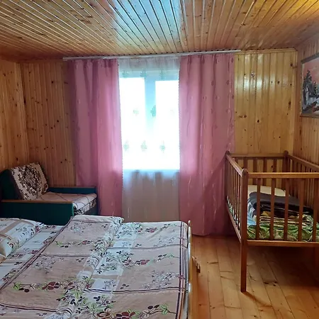 House Panorama Karpat 게스트하우스 *