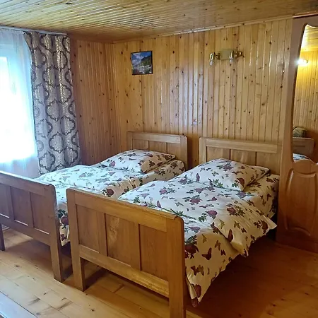 게스트하우스 House Panorama Karpat