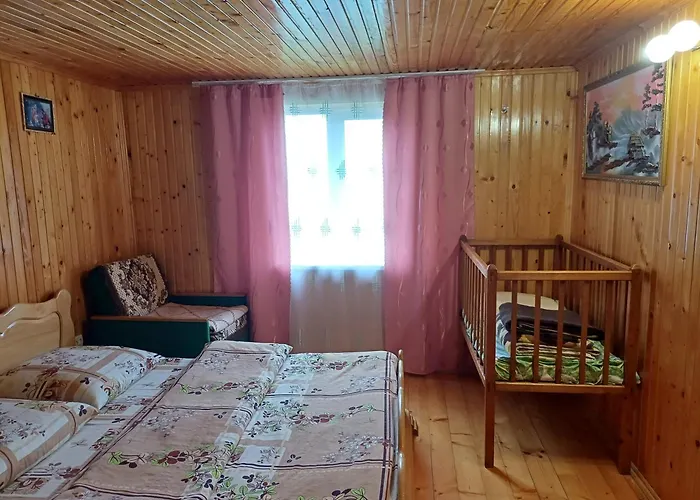 House Panorama Karpat 招待所 *