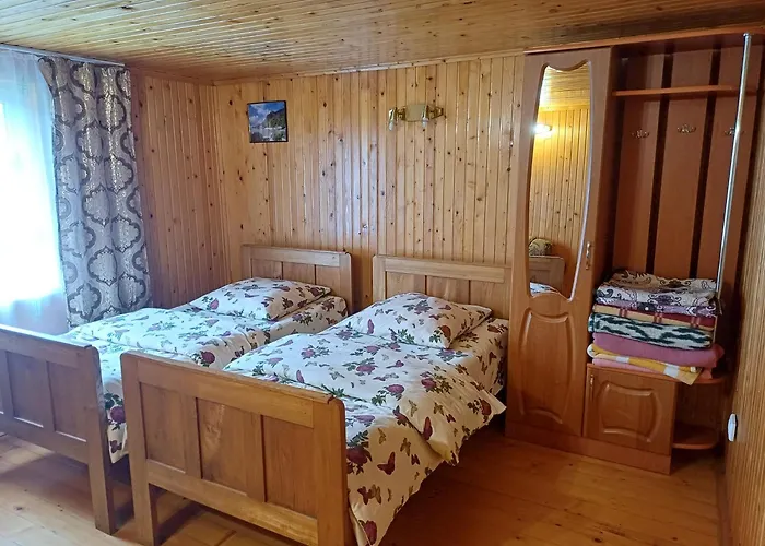 House Panorama Karpat *