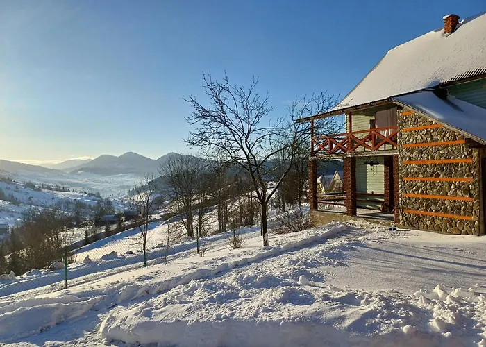 House Panorama Karpat 招待所 *