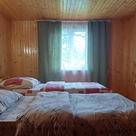 House Panorama Karpat Guest house Volosyanka (Lviv)