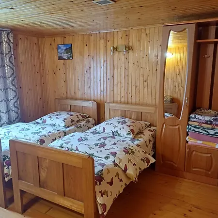 House Panorama Karpat *